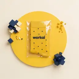 skarpetki na zamówienie z logo workai